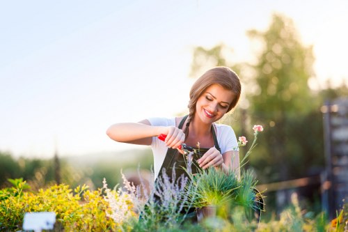 Aeration and soil improvement for a healthier Gipsyhill lawn