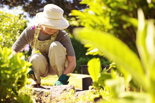 Garden landscaping equipment and site setup illustration