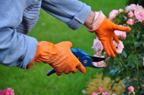 Soft and hard landscaping features in a Gipsyhill garden