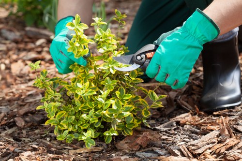 Seasonal flower bed design ideas for a Gipsyhill home