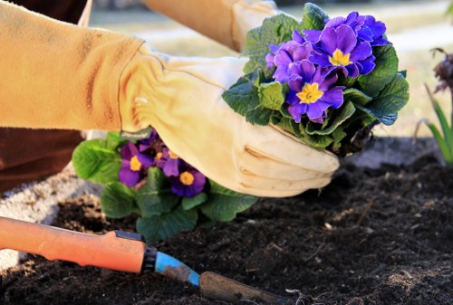Management escalation of an unresolved landscaper complaint