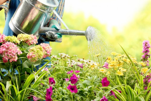 Balanced garden design with structured and natural elements in Gipsyhill