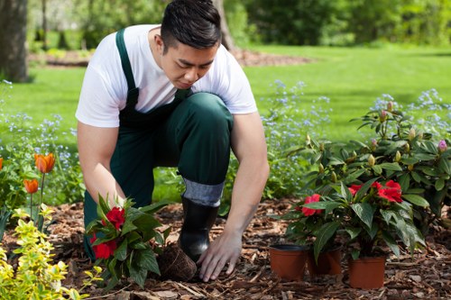 Modern garden makeover features for a Gipsyhill home