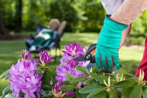 Professional lawn mowing service keeping a Gipsyhill lawn tidy