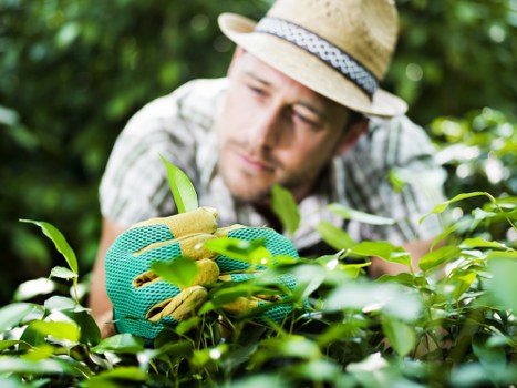 Free quote process for landscapers in Gipsyhill