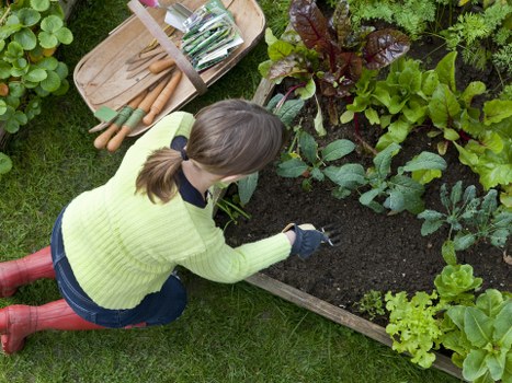 Professional landscapers improving a residential garden in Gipsyhill