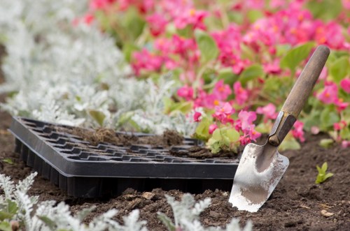 Seasonal garden maintenance in Gipsyhill with hedges and flower beds