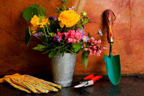 Careful shrub and perennial planting for a local property