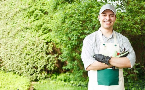 Careful mowing routine for a tidy Gipsyhill lawn