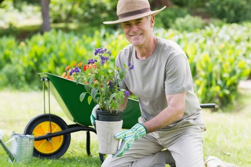 Seasonal watering and feeding for lawn care in Gipsyhill
