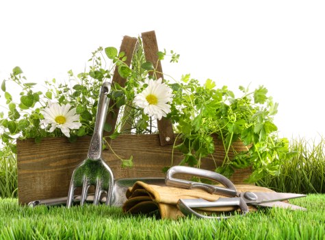 Soil preparation and planting for a Gipsyhill flower border