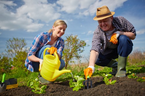 Professional team handling garden clearance work