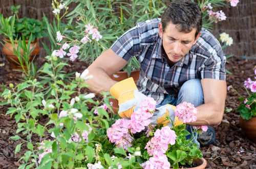 Garden waste and debris removal during clearance