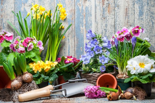 Planning a flower bed layout in a Gipsyhill garden